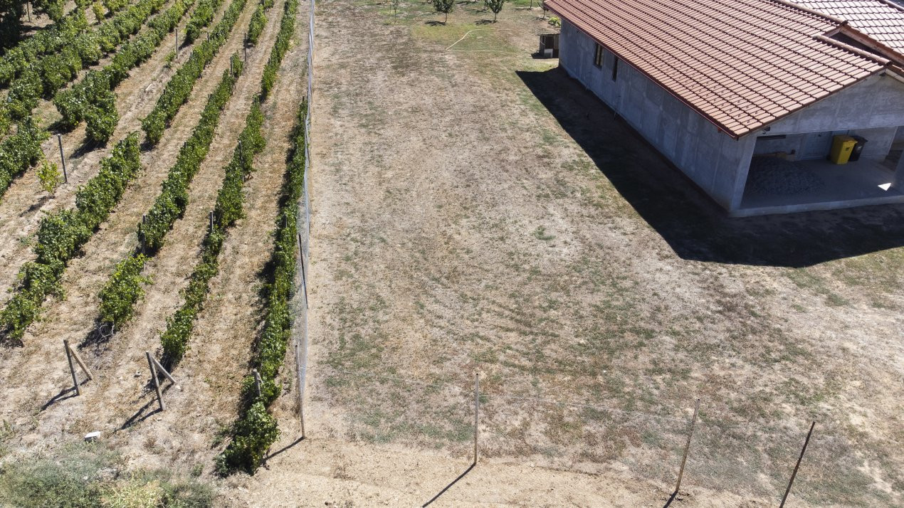 Teren de vanzare intravilan Carcea, 500 mp, toate utilitatile