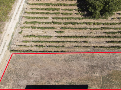 Apartament 3 camere - Gheorghe Doja - Comision 0%!