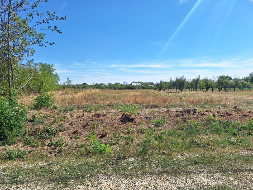 Teren de vânzare – 1500 mp, Broșteni, jud. Argeș