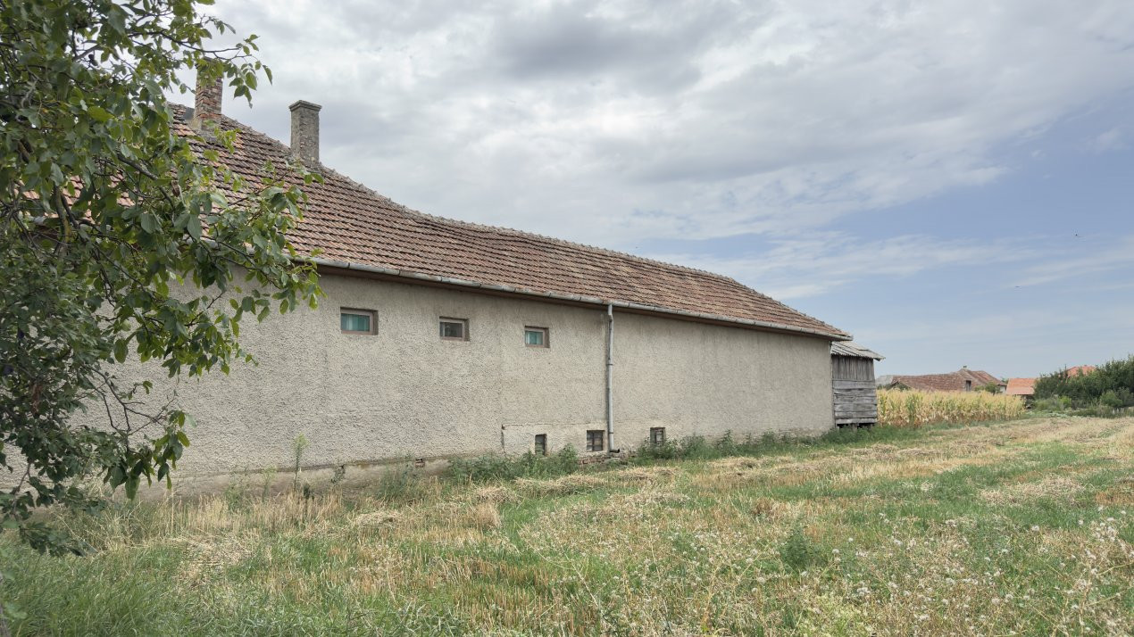 Casă 3 camere, Teren 2347 mp Loc. Lucăceni Jud. Satu Mare-Comision 0% cumpărător