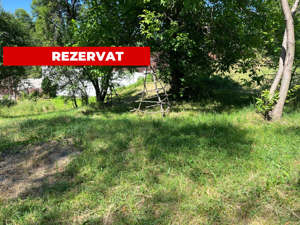 Teren 4996 mp zona de munte Comuna Arefu-Capataneni Arges