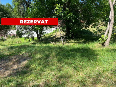 Teren 4996 mp zona de munte Comuna Arefu-Capataneni Arges