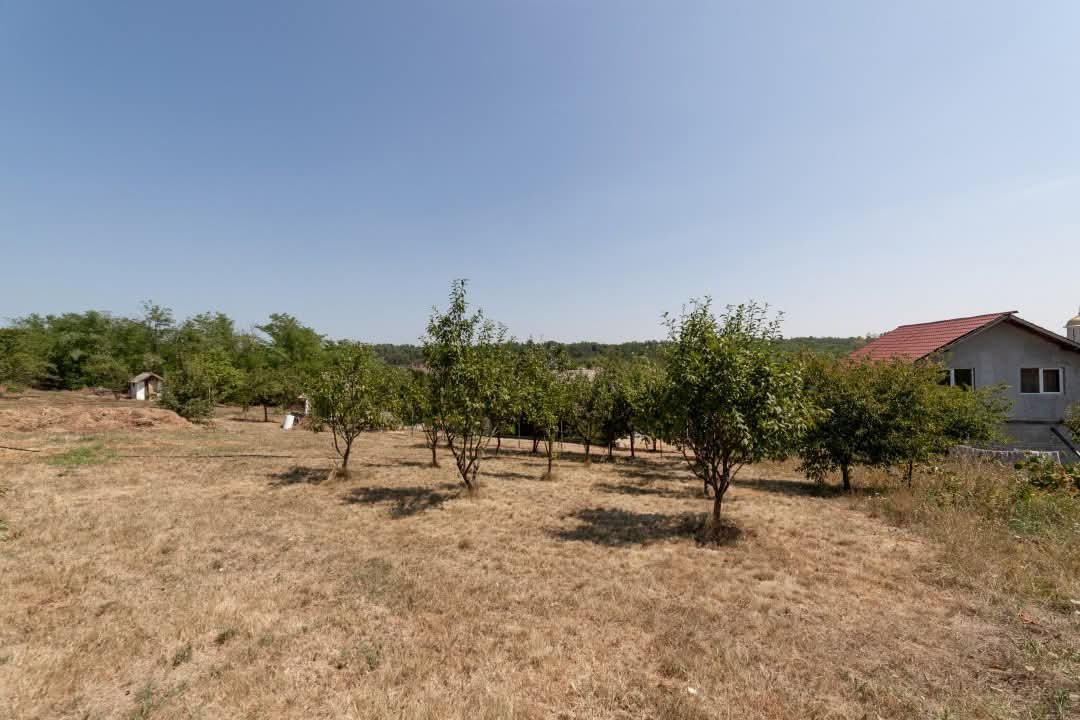 Casa Podul Broșteni- Arges!