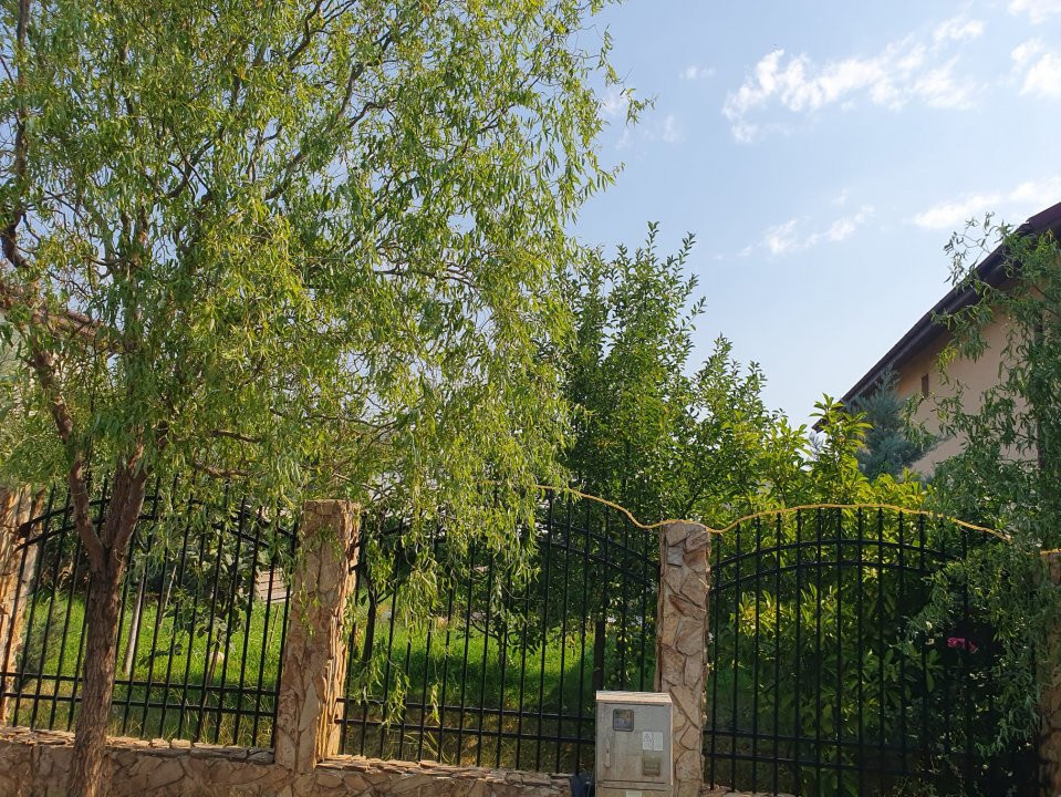 Teren intre case Crisul Repede Bragadiru