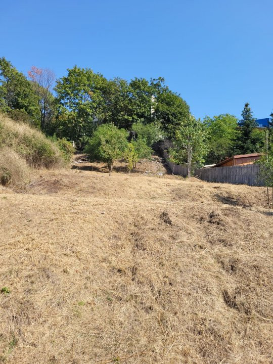 Teren intravilan Pitesti - Turcesti - 1083 mp, demisol executat