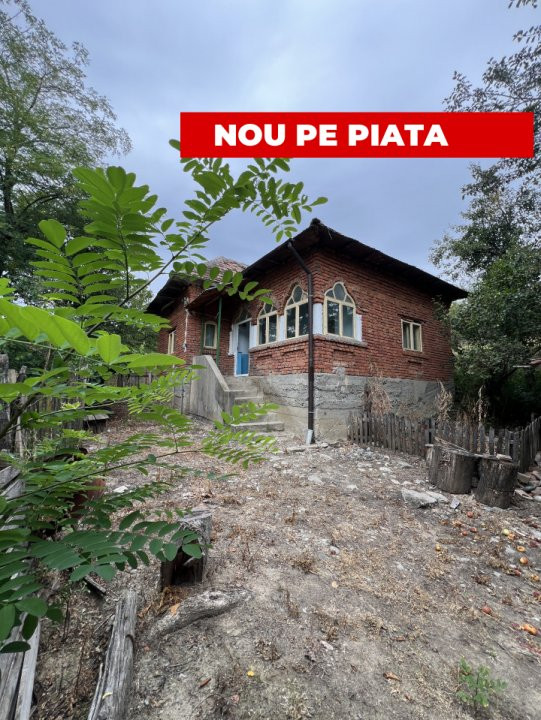 Casa 3 camere +teren 4260 mp livada, zona SUICI -Arges