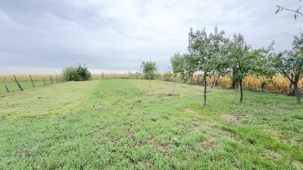 Casă 2 camere, Teren 1525 mp Loc. Tiream , Str. Coloniei Nr.44-Jud. Satu Mare