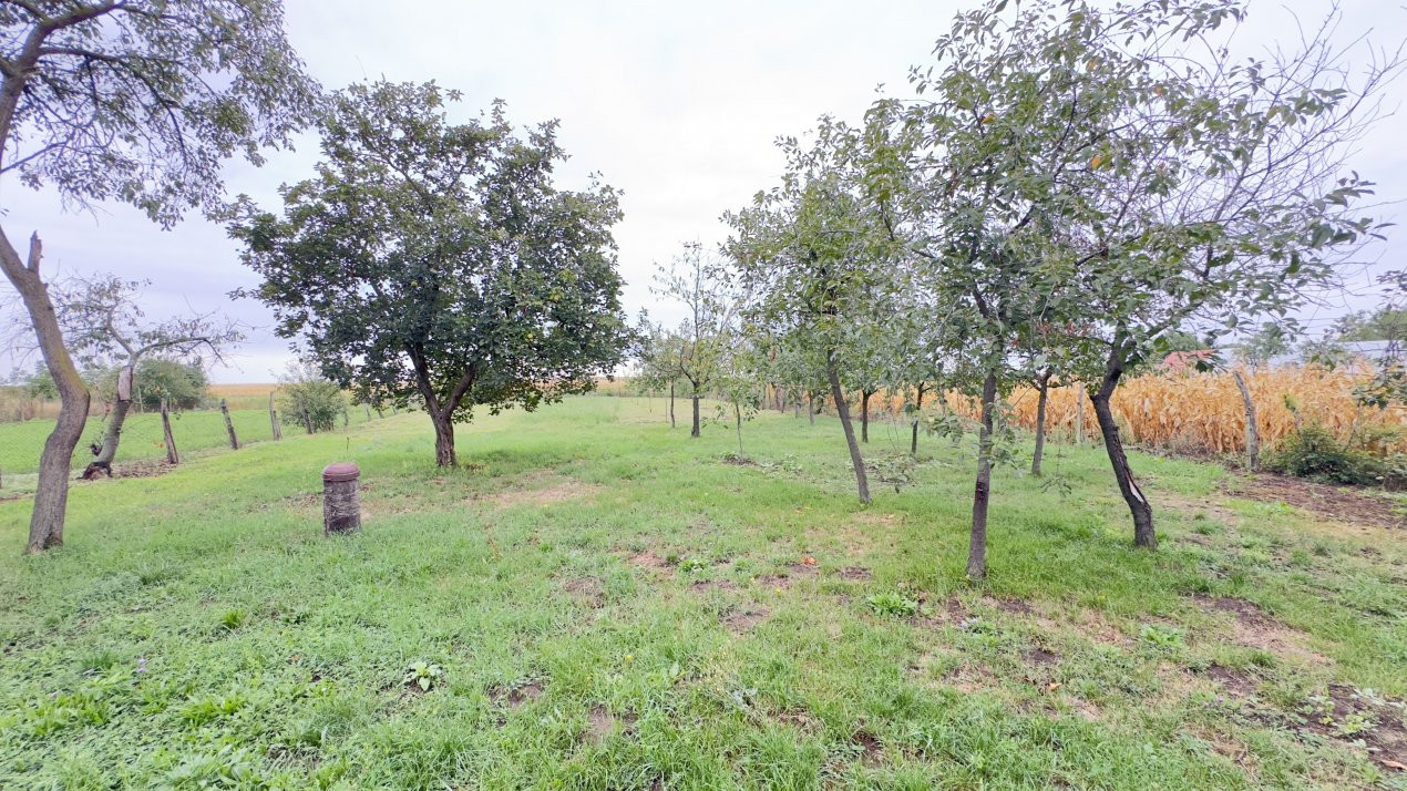 Casă 2 camere, Teren 1525 mp Loc. Tiream , Str. Coloniei Nr.44-Jud. Satu Mare
