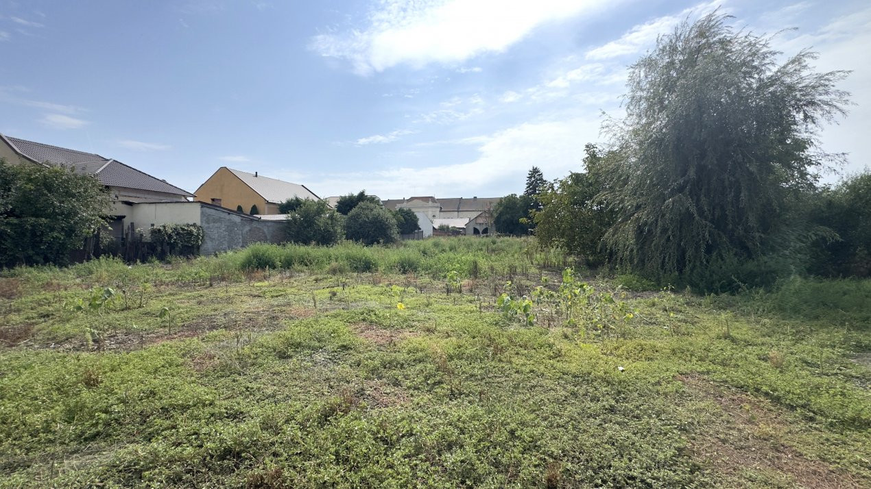 Clădire 12 incăperi, Teren 3.457 mp Str.Iuliu Maniu Nr.13 -Carei- Jud. Satu Mare