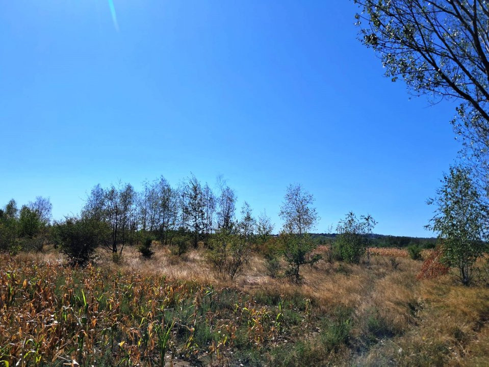 TEREN INTRAVILAN ȘI EXTRAVILAN BAIA DE FIER