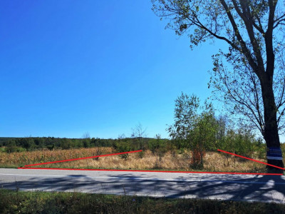 TEREN INTRAVILAN ȘI EXTRAVILAN BAIA DE FIER
