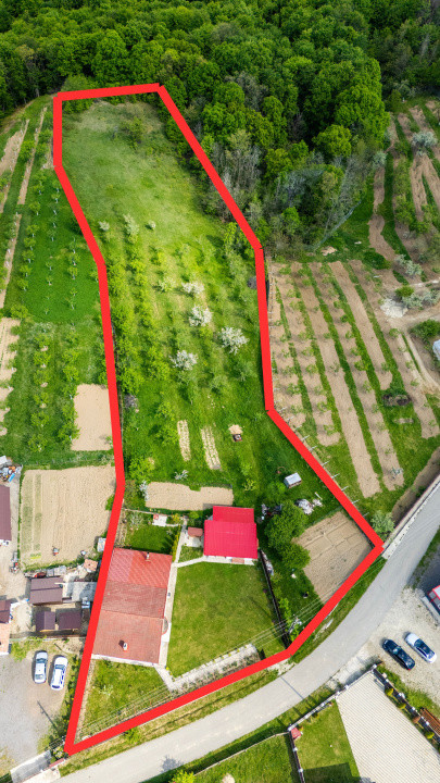 Casa cu teren generos si gradina spectaculoasa – Comuna Cuca, Argeș!