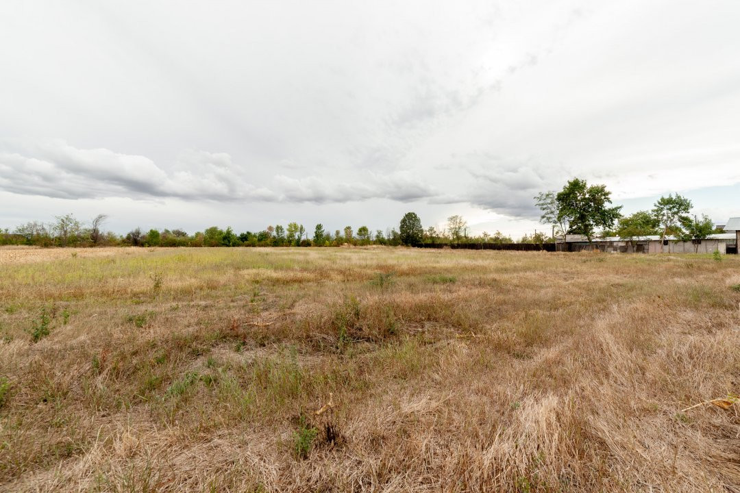 Teren intravilan 3000 mp, Oarja, Arges – amplasament excelent