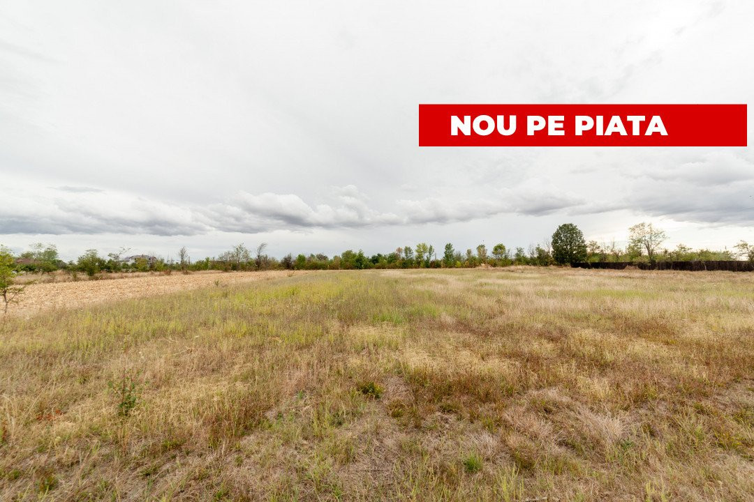 Teren intravilan 3000 mp, Oarja, Arges – amplasament excelent