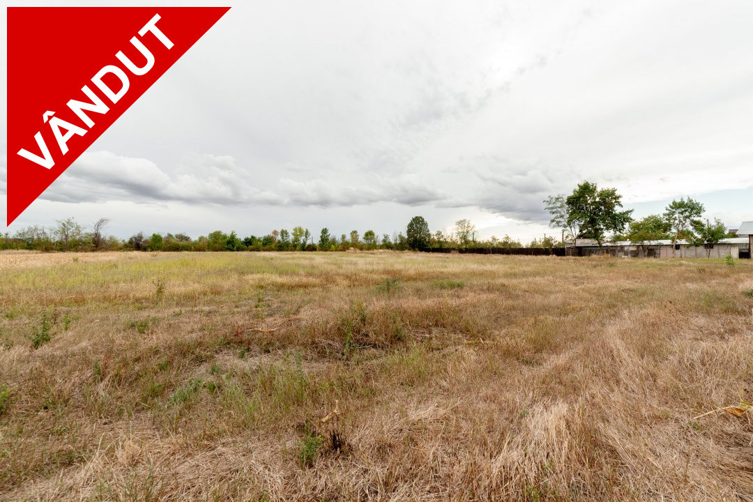 Teren intravilan 3000 mp, Oarja, Arges – amplasament excelent