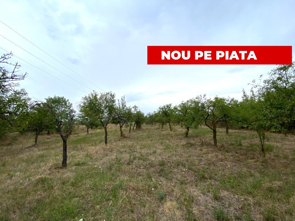 Teren intravilan 1.765 mp in Poiana Lacului, AG