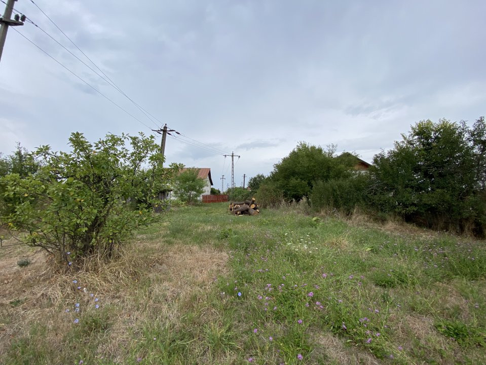 Teren intravilan 1.765 mp in Poiana Lacului, AG