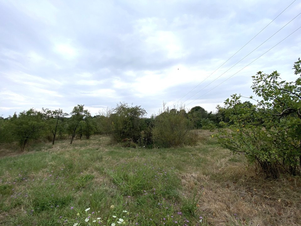 Teren intravilan 1.765 mp in Poiana Lacului, AG