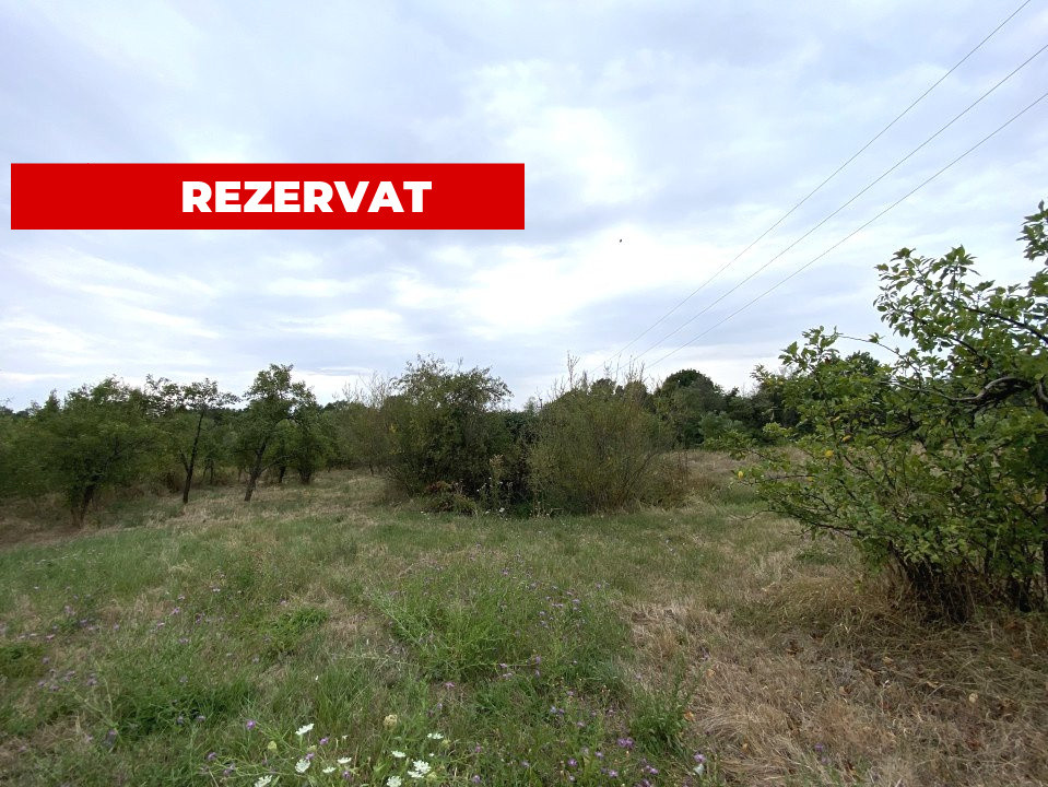 Teren intravilan 1.765 mp in Poiana Lacului, AG