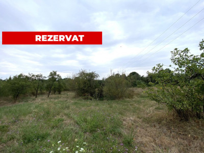 Teren intravilan 1.765 mp in Poiana Lacului, AG