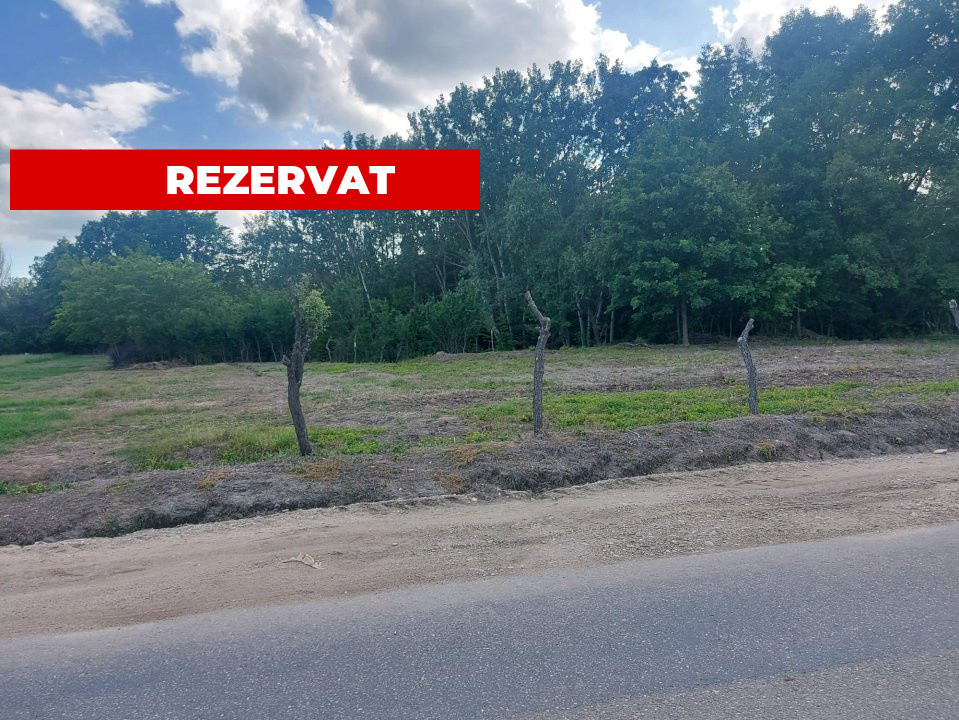 Teren intravilan 1843 mp - Cerbu/Albota/Arges - cu proiect de casa pe parter 