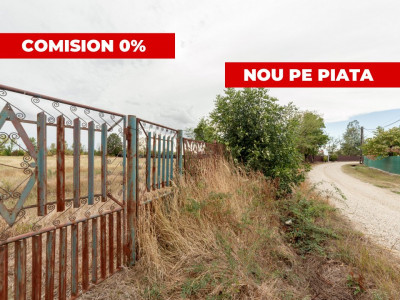 Teren intravilan 3000 mp, Oarja, Arges – amplasament excelent