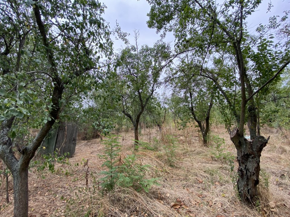 Teren 3000mp intravilan in Mavrodolu, AG