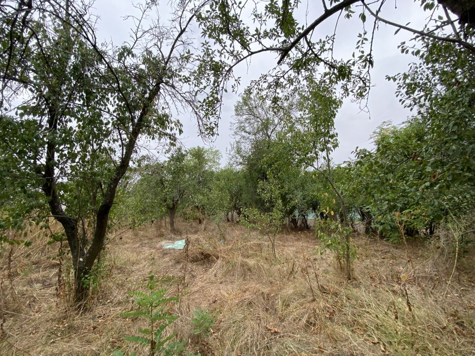 Teren 3000mp intravilan in Mavrodolu, AG