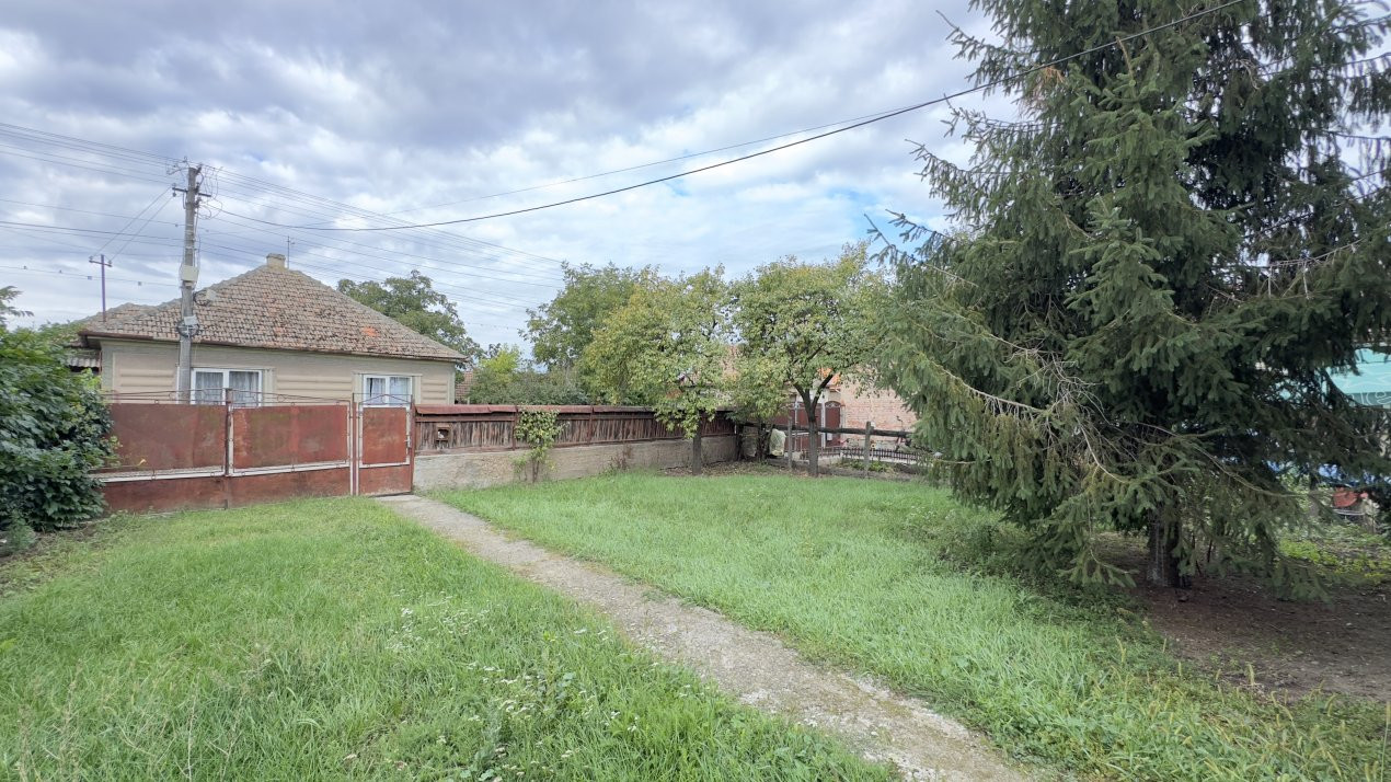 Casă 3 camere, Teren 3.263 mp, Str.Mărășești Nr.16 -Carei-Comision 0% cumpărător