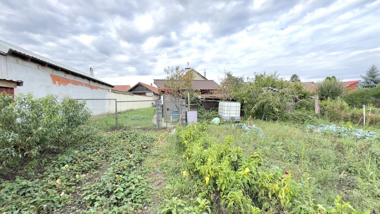 Casă 3 camere, Teren 3.263 mp, Str.Mărășești Nr.16 -Carei-Comision 0% cumpărător