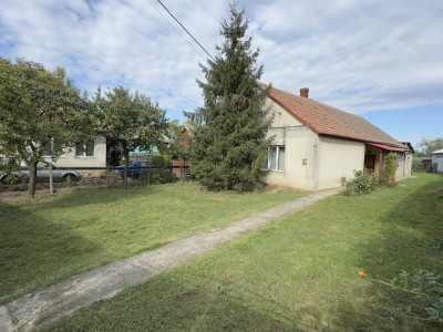Casă 3 camere, Teren 3.263 mp, Str.Mărășești Nr.16 -Carei-Comision 0% cumpărător