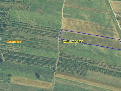 Teren Intravilan Maracineni 7545 mp