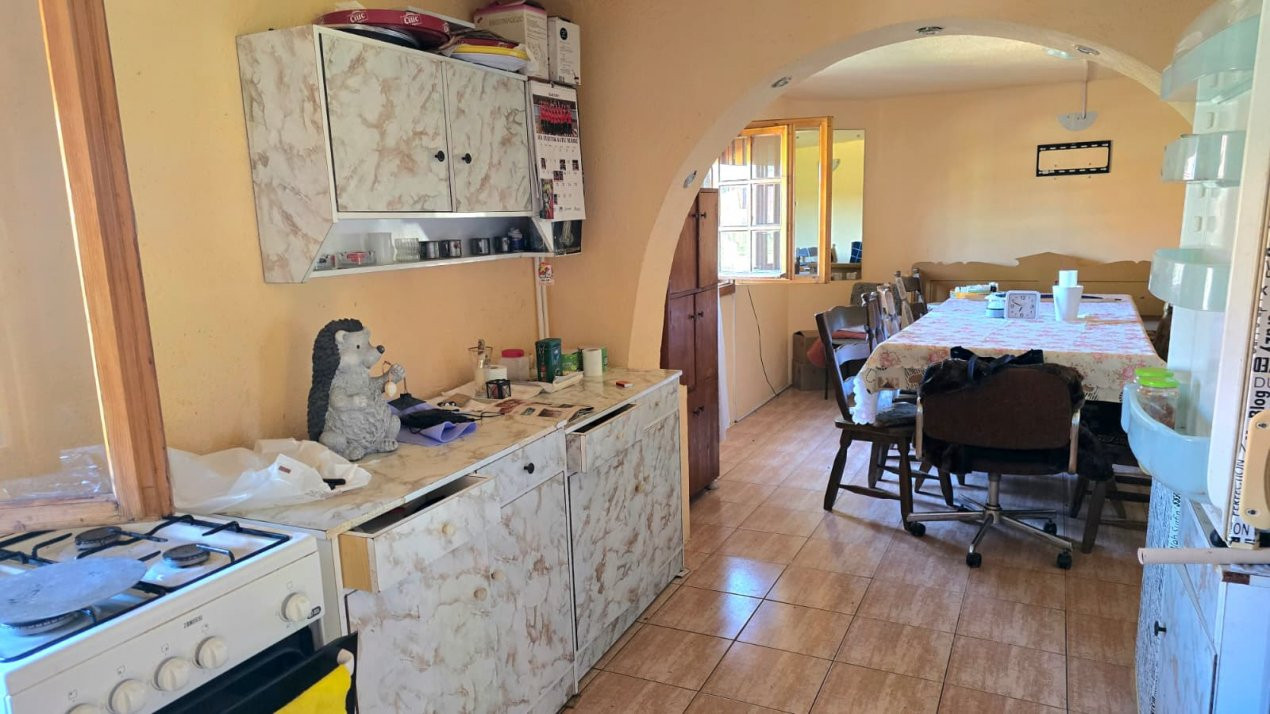 casa 3 camere Viile Satu Mare