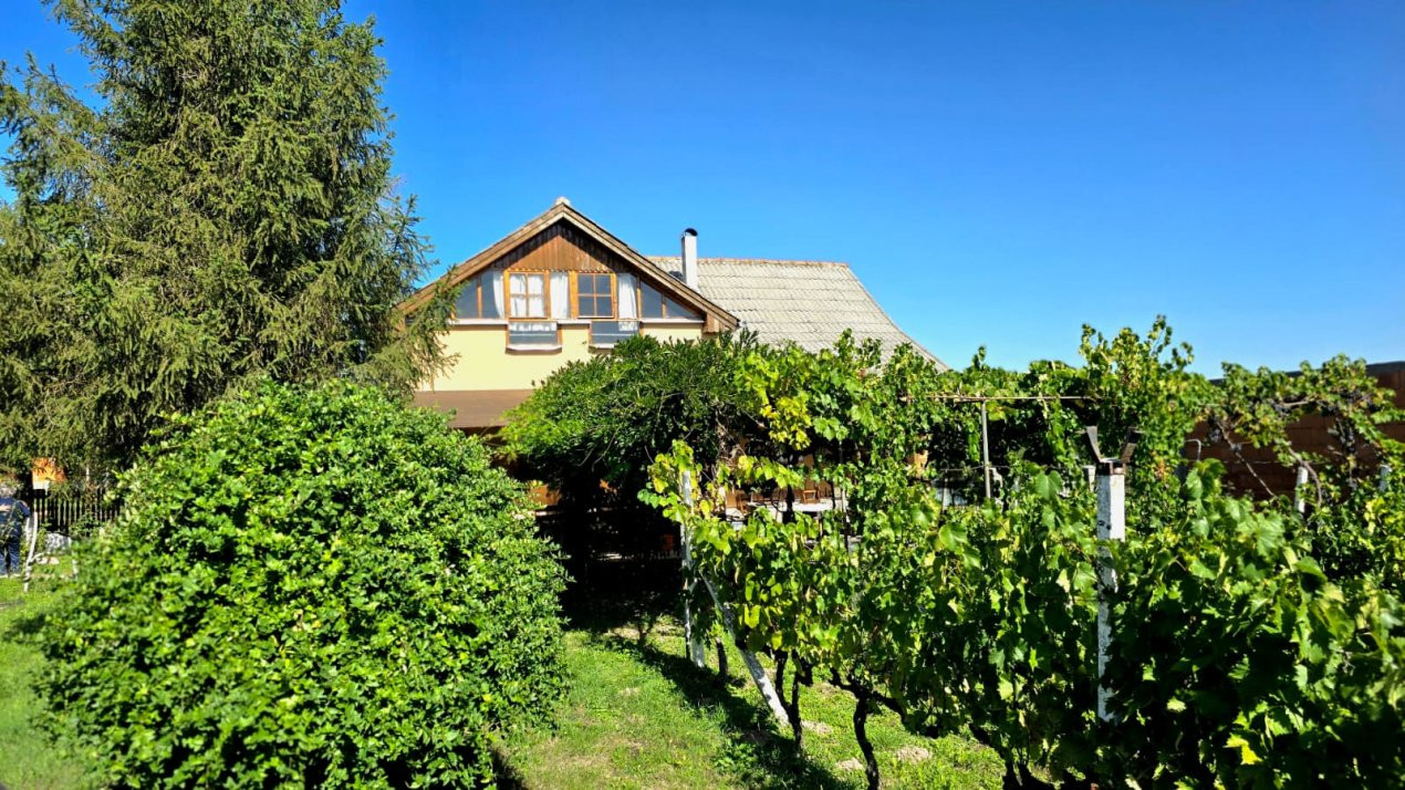 casa 3 camere Viile Satu Mare