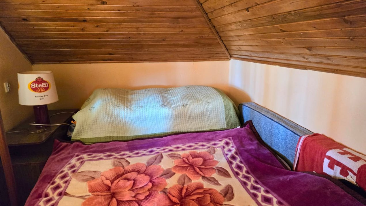 casa 3 camere Viile Satu Mare