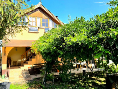 casa 3 camere Viile Satu Mare