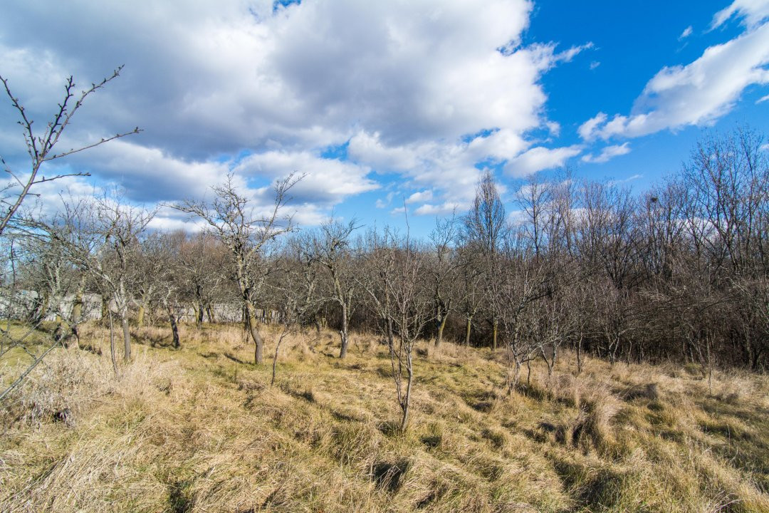 Casa traditionala argeseana – comuna Vedea, jud. Arges