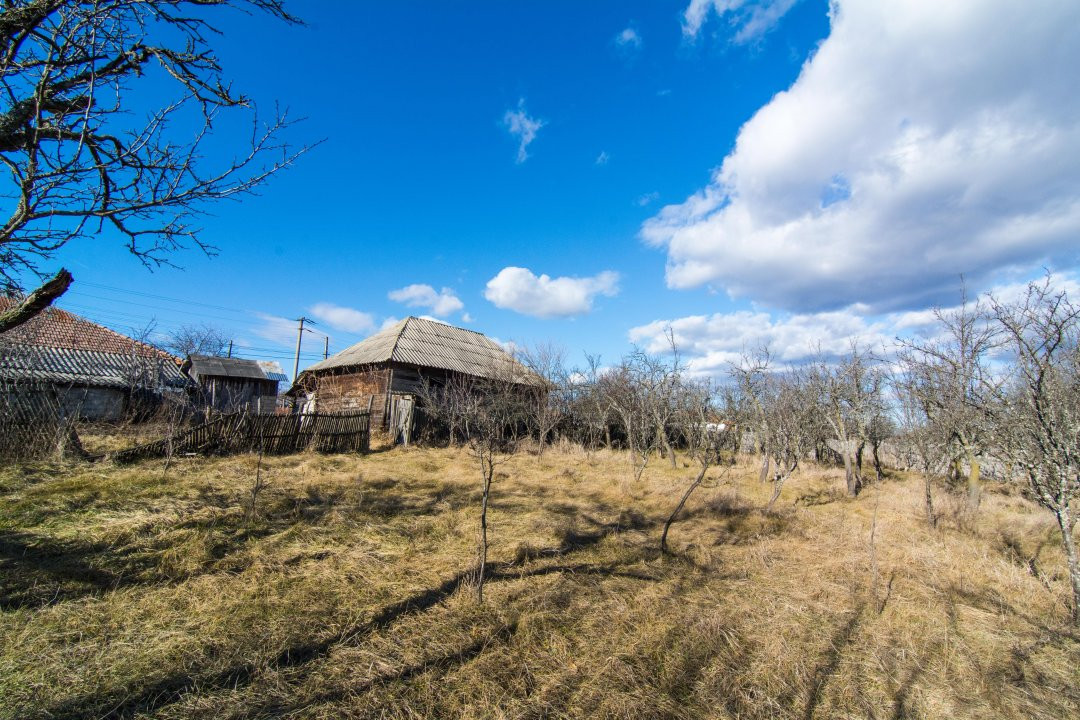 Casa traditionala argeseana – comuna Vedea, jud. Arges