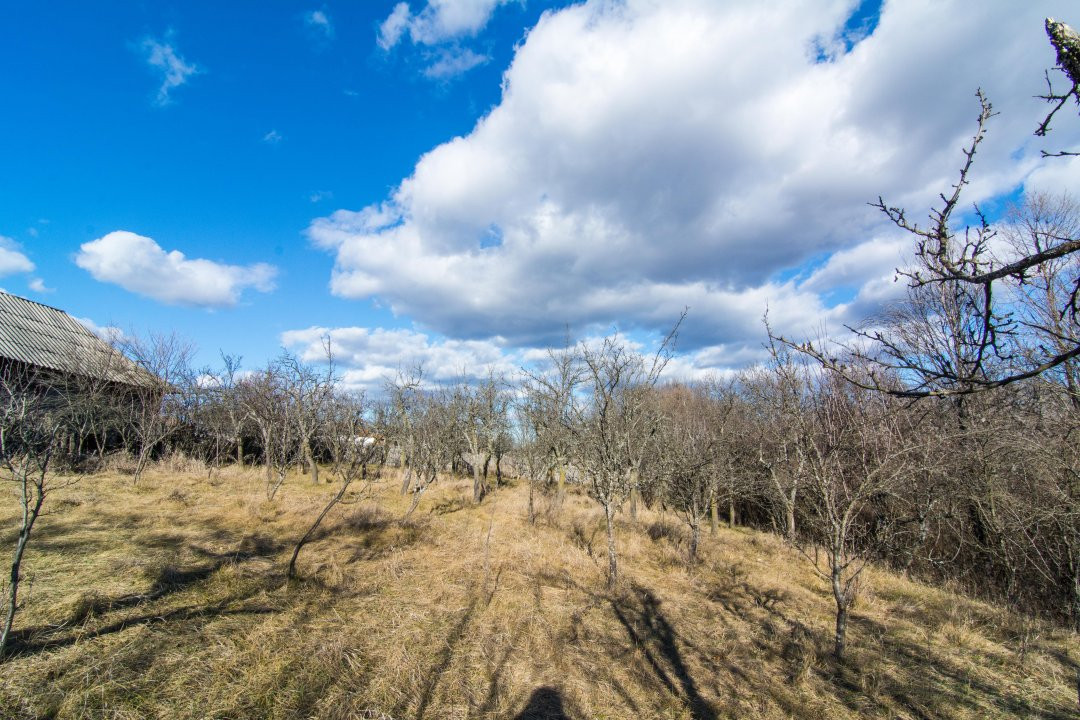Casa traditionala argeseana – comuna Vedea, jud. Arges