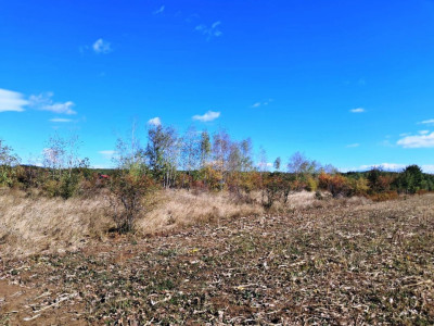 De inchiriat - Spatii birouri - Cladire Clasa A - Baneasa