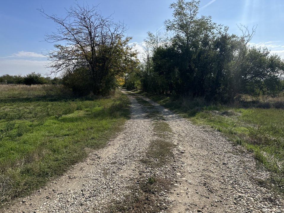 Teren intravilan 3700 mp  - zona linistita