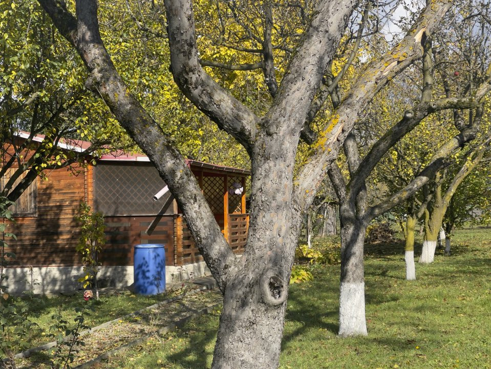 Retreat natural in Breaza – teren 1140 mp cu 3 casute din lemn