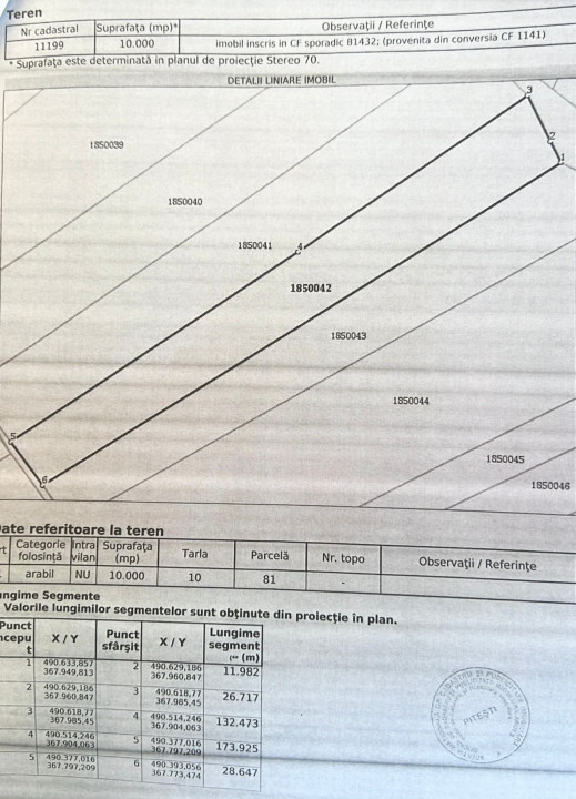 Teren 10.000 mp zona industriala Albota 12 euro mp -Arges 