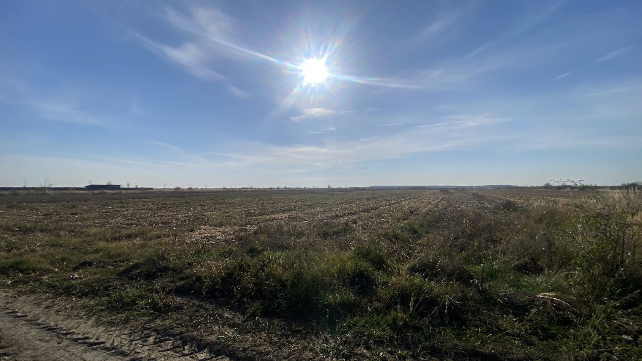 Teren 600 mp intravilan Albota, jud. Arges