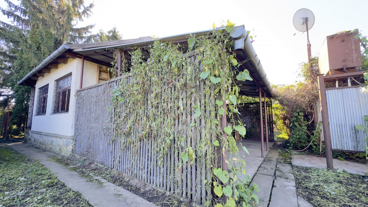 Casă de vinificație 2 camere cu Teren 1389 mp - Grădina Viilor ,,Nyulhat,,-Carei