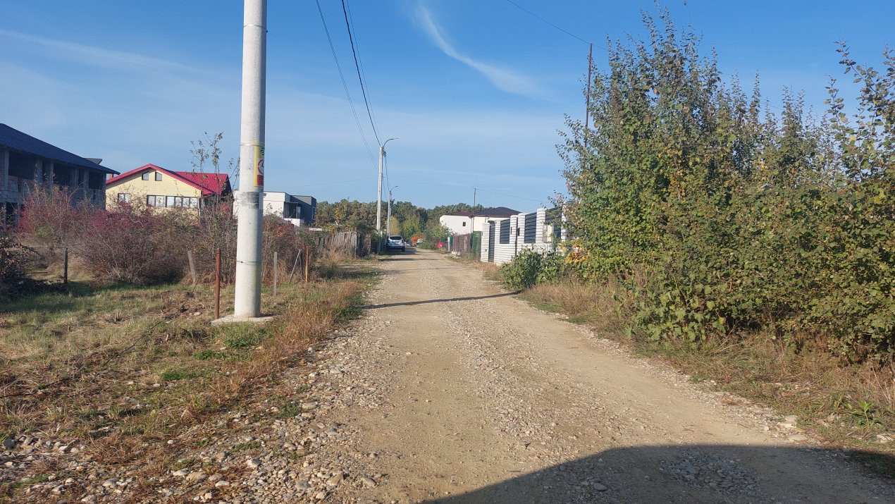 Teren Trivale - Aleea Bradului - Zona excelenta