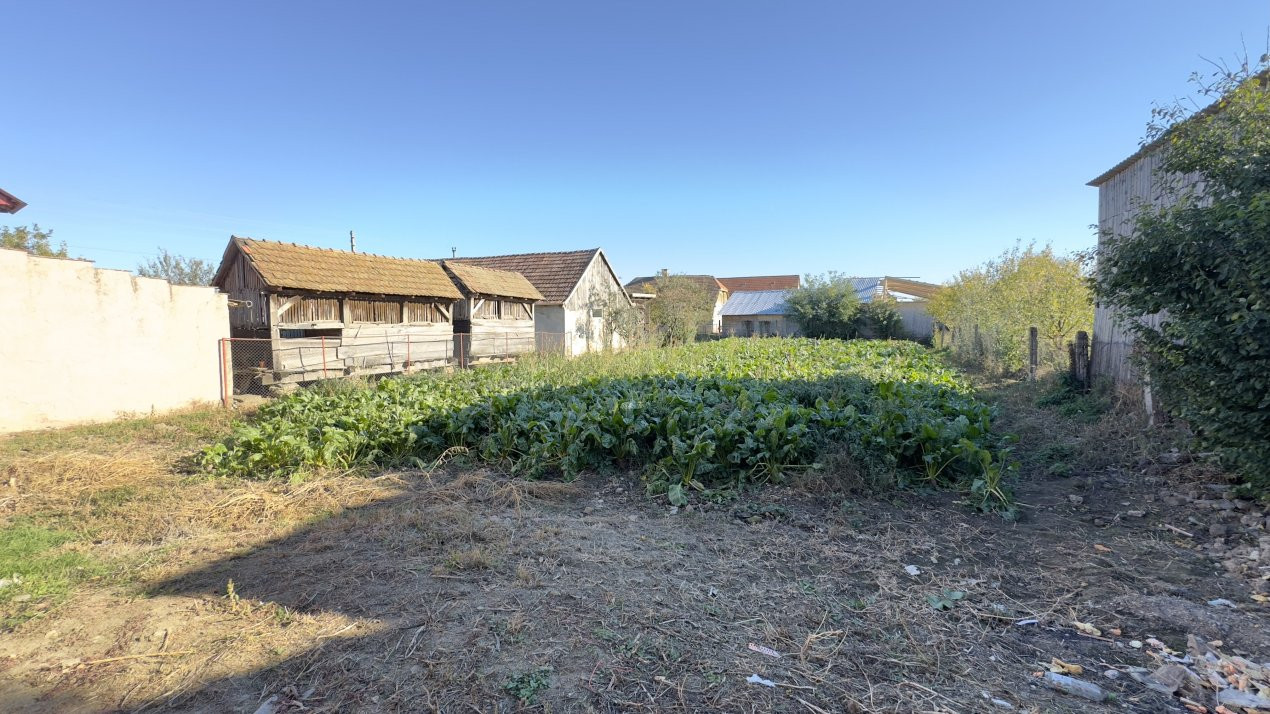 Casă 5 camere, Teren 1079 mp Loc. Cămin Jud. Satu Mare