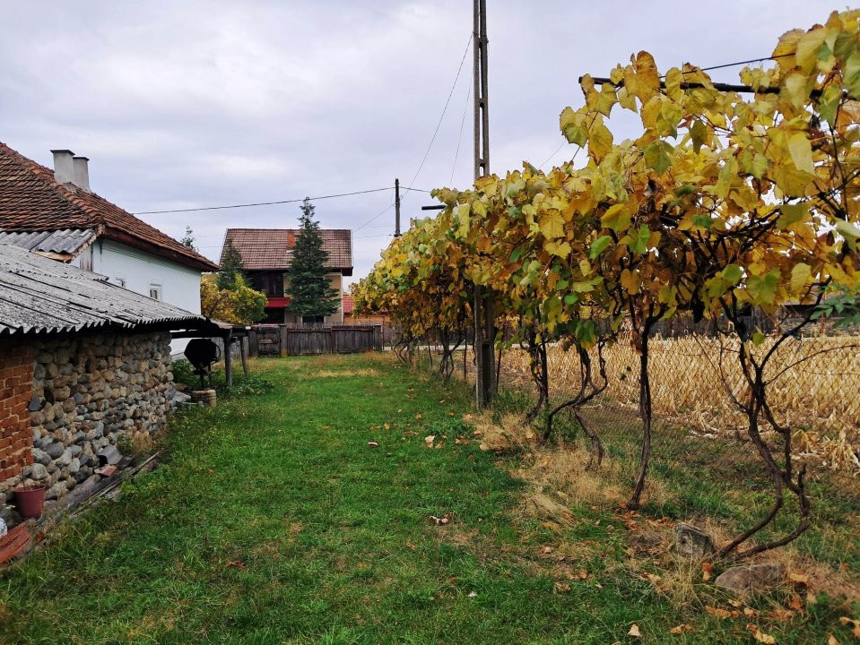 CASĂ SI TEREN BAIA DE FIER