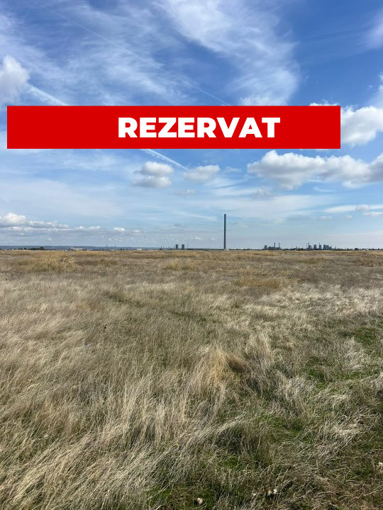Teren 10000 mp - Albota Papillon, zona industriala in plina dezvoltare