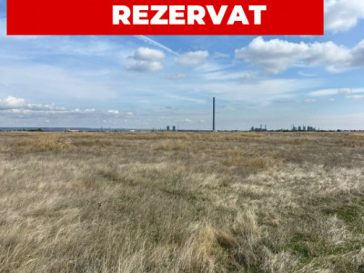 Teren 10000 mp - Albota Papillon, zona industriala in plina dezvoltare
